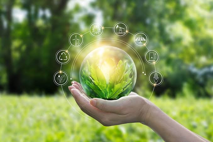 Environmental Conservation
